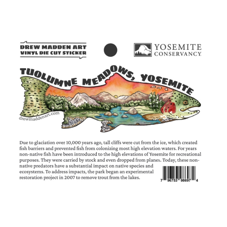 Tuolumne Trout Sticker