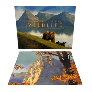 Wildlife National Park Notecards