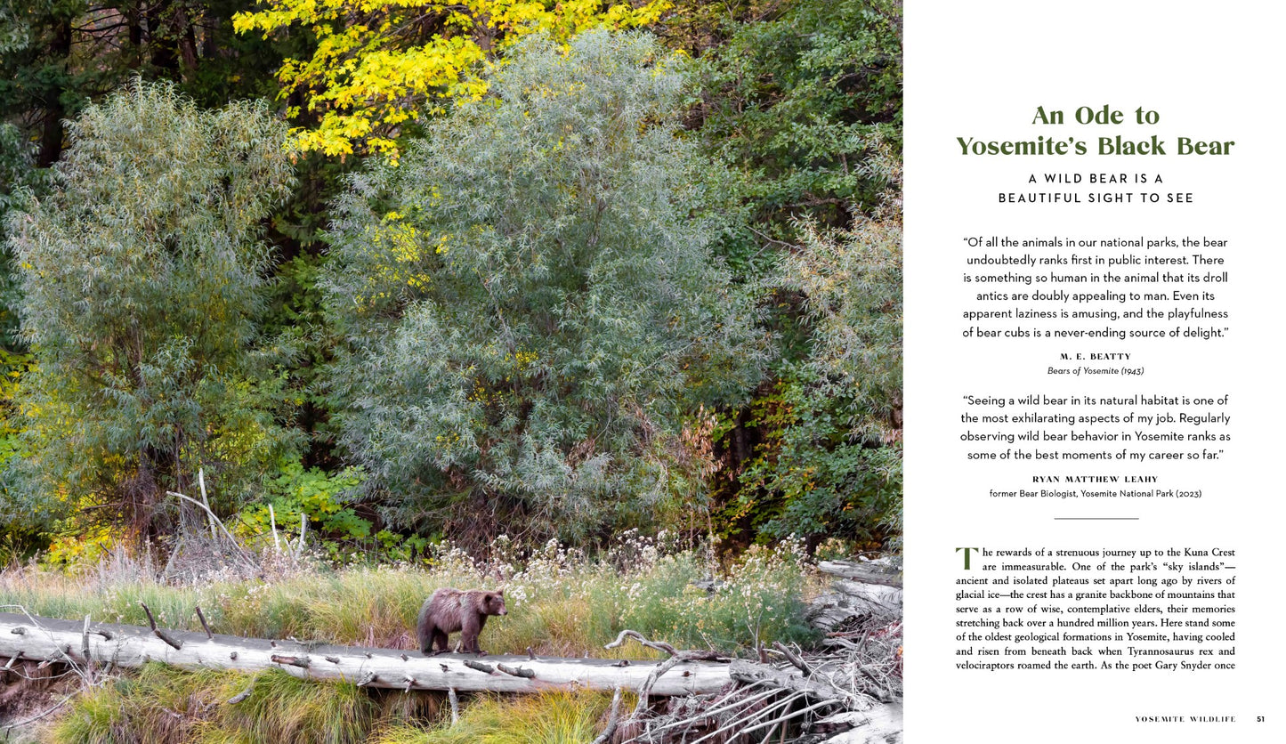 Yosemite Wildlife - PRESALE