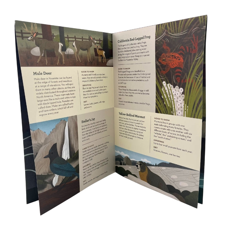Junior Ranger Field Guide - Wildlife