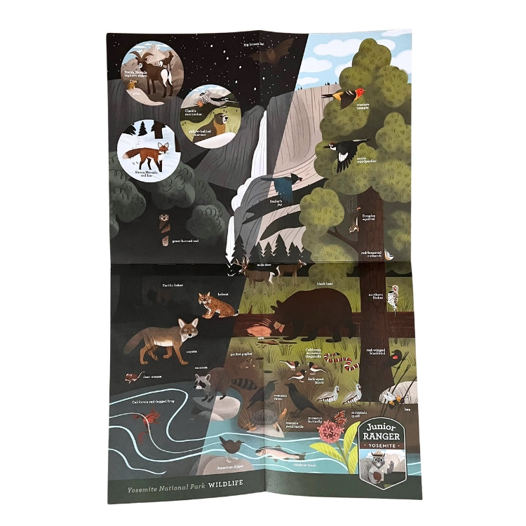 Junior Ranger Field Guide - Wildlife