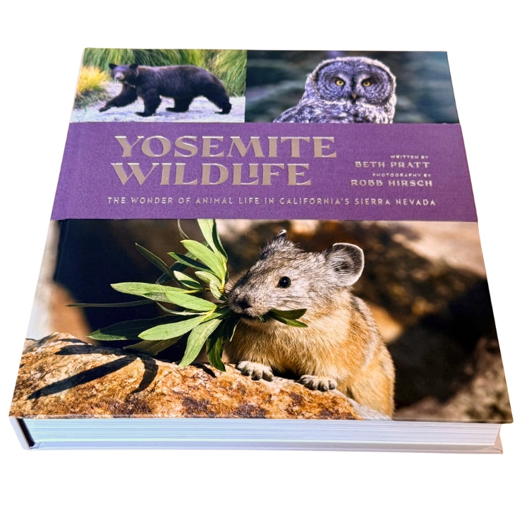 Yosemite Wildlife - PRESALE