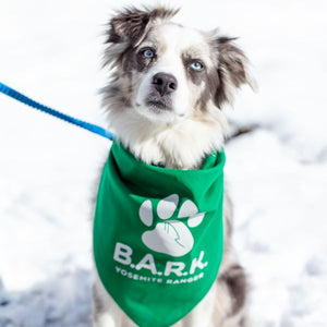 Bark Ranger Bandana