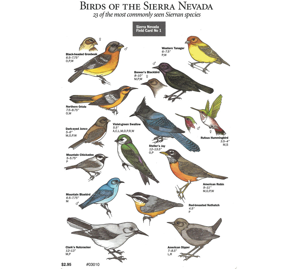 Birds of the Sierra Nevada Field Card