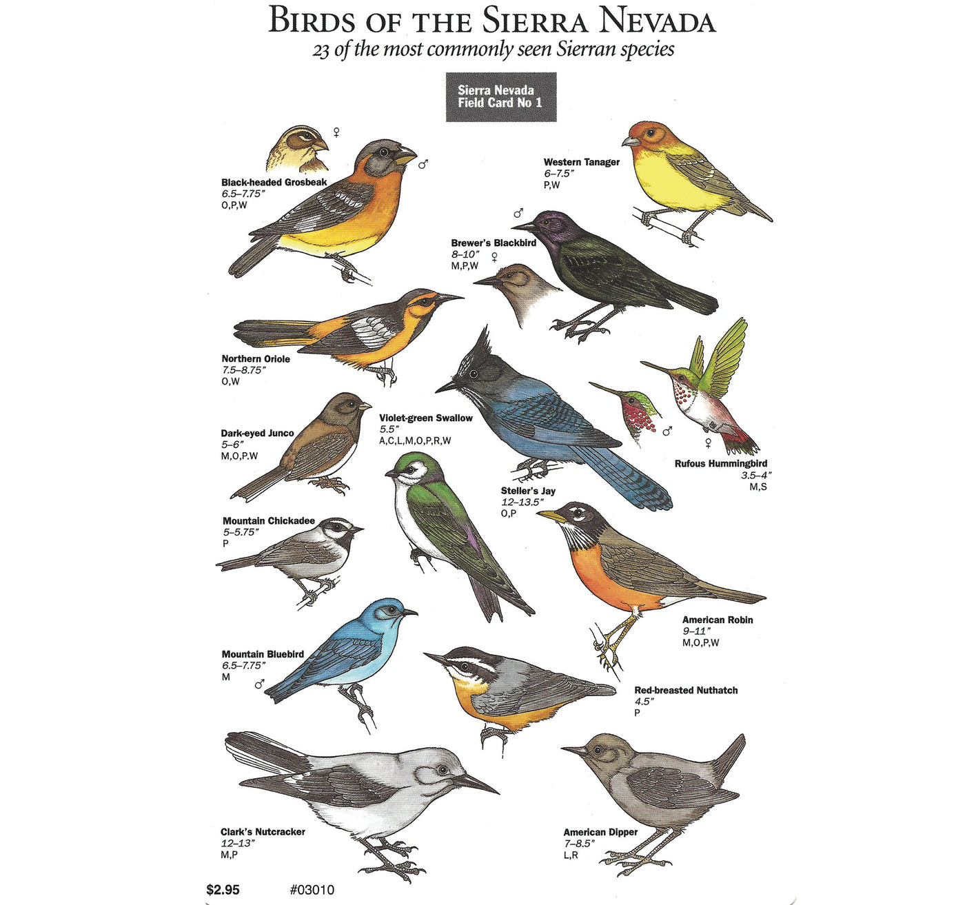 Birds of the Sierra Nevada Field Card