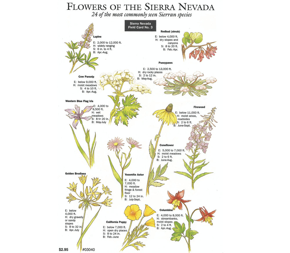 Flowers Sierra Nevada Field Card