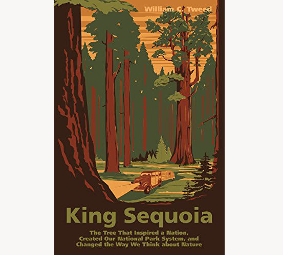 King Sequoia