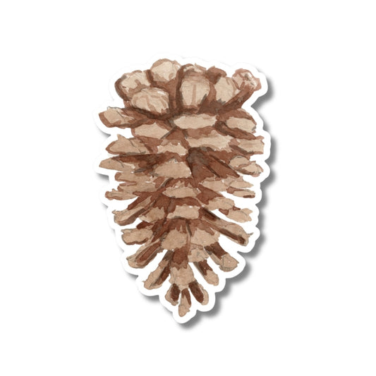 Ponderosa Pine Cone Sticker