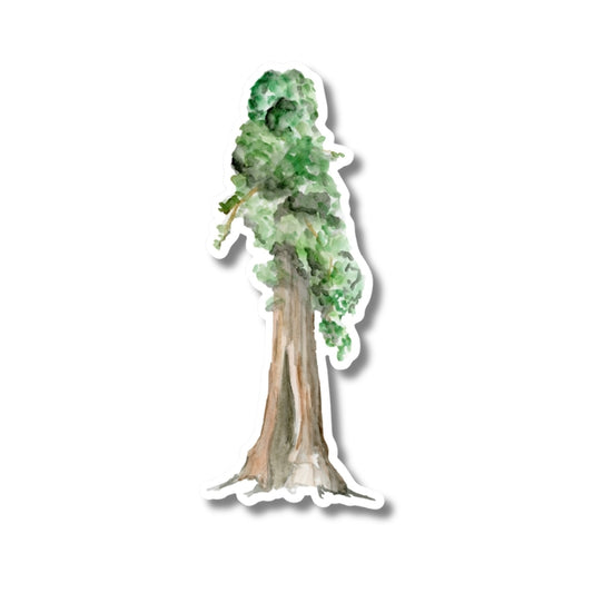 Sequoia Tree Sticker