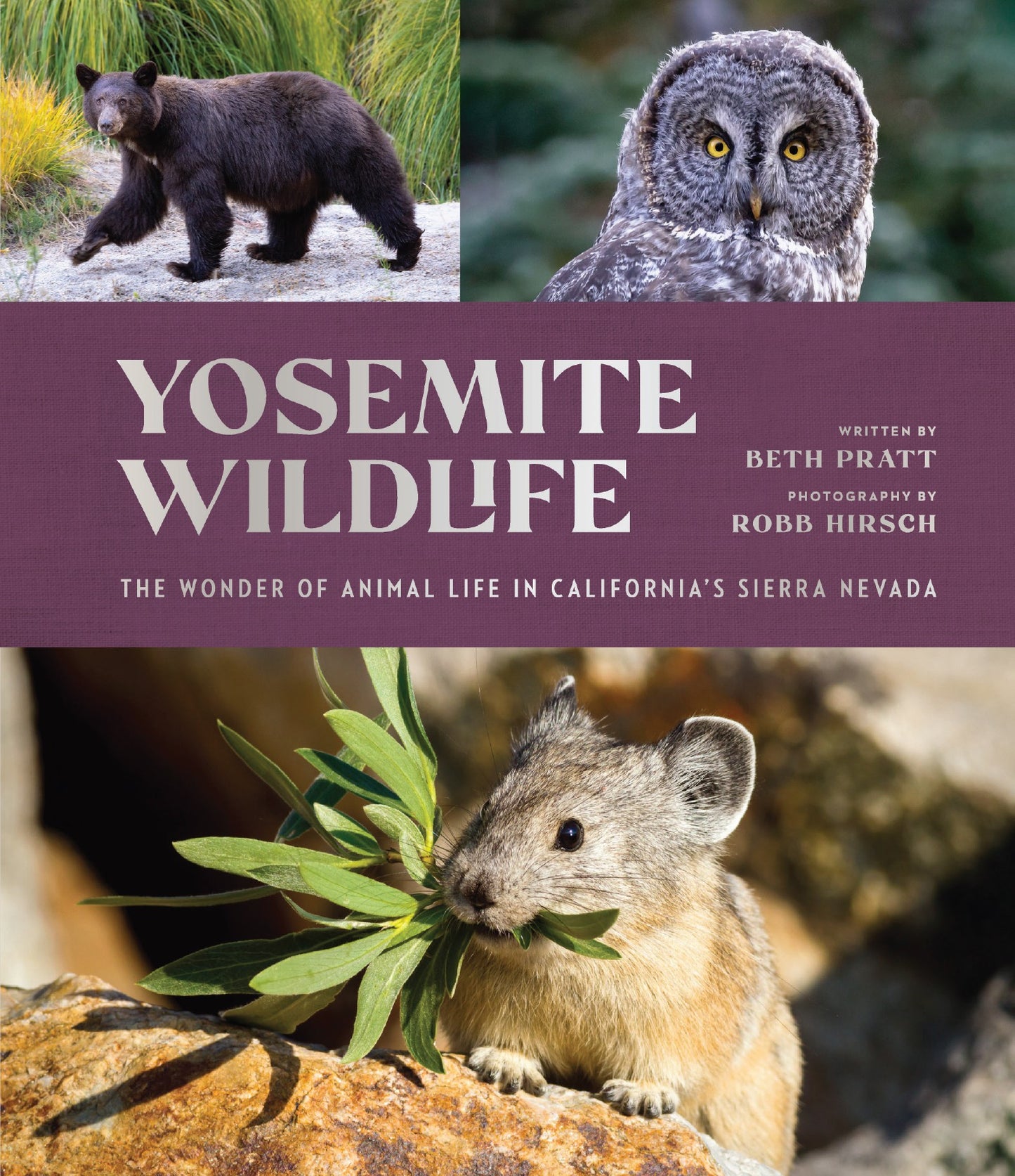 Yosemite Wildlife - PRESALE