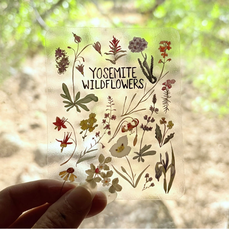 Wildflower Sticker